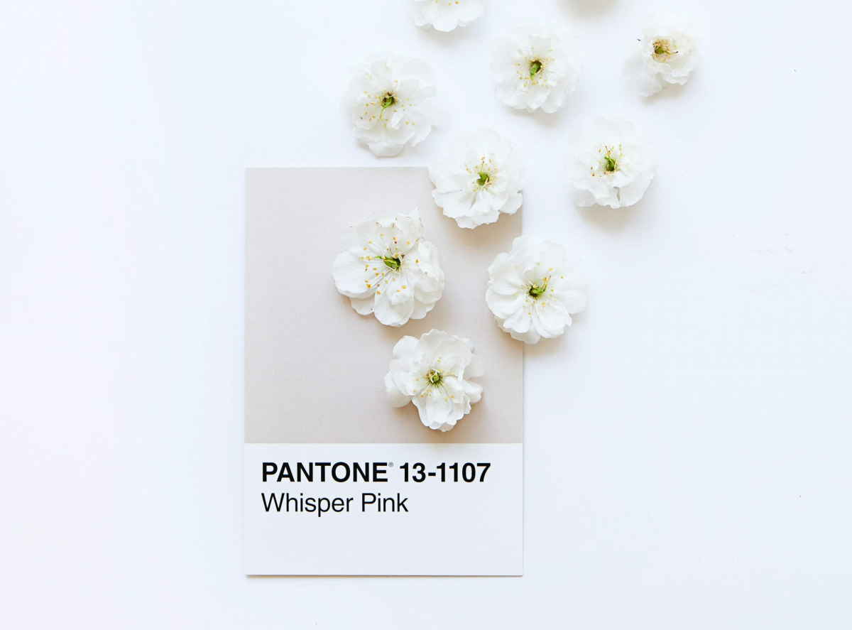 Pantone cold color